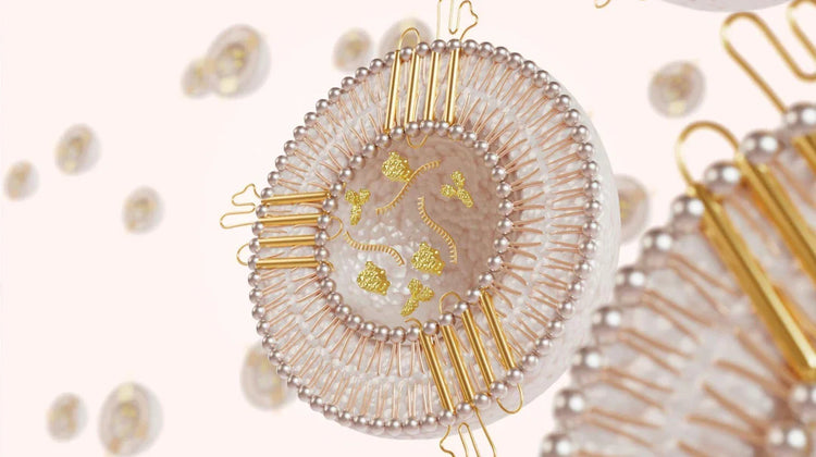 (plated) SKIN SCIENCE